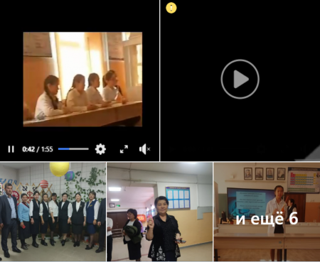 Шымкент қаласы білім басқармасына қарасыты. Т.Тәжібаев атындағы N81 жалпы орта білім беретін мектеп.